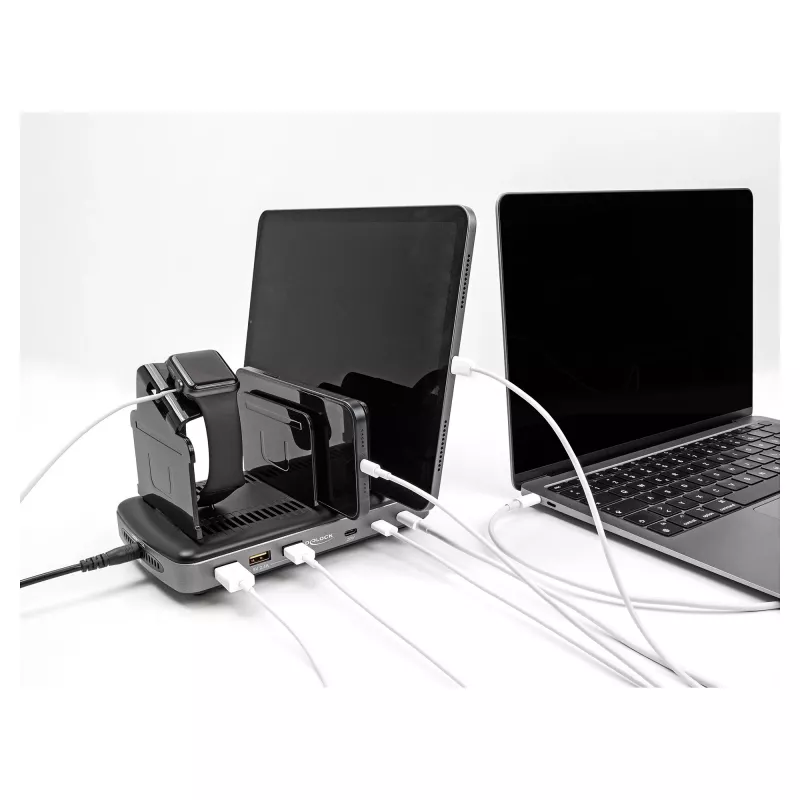 DeLOCK USB įkrovimo stotelė 3 x USB Type-C PD 3 x USB Type-A 112 W