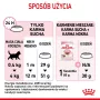 Royal Canin Kitten sausas maistas katėms 2 kg