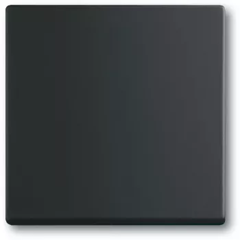 Jungiklis Busch-Jaeger 1751-0-3041, plastikinis korpusas, juodas, mygtukai, 63×63 mm