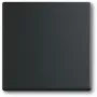 Jungiklis Busch-Jaeger 1751-0-3041, plastikinis korpusas, juodas, mygtukai, 63×63 mm