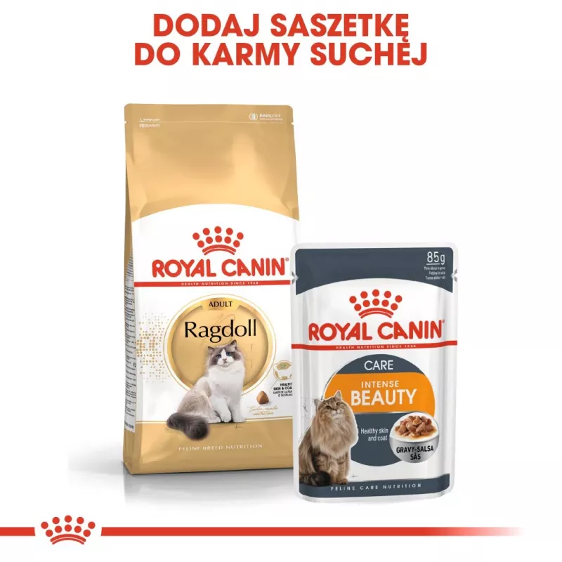Royal Canin FBN Ragdoll Adult sausas kačių pašaras, 2 kg