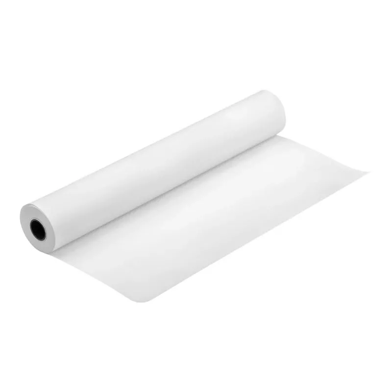 Epson Production Canvas Matte, 610 mm x 12,2 m, matinė drobė