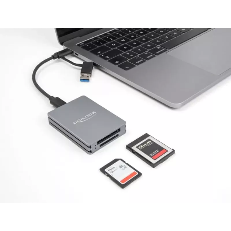 Delock USB Type-C kortelių skaitytuvas 91011