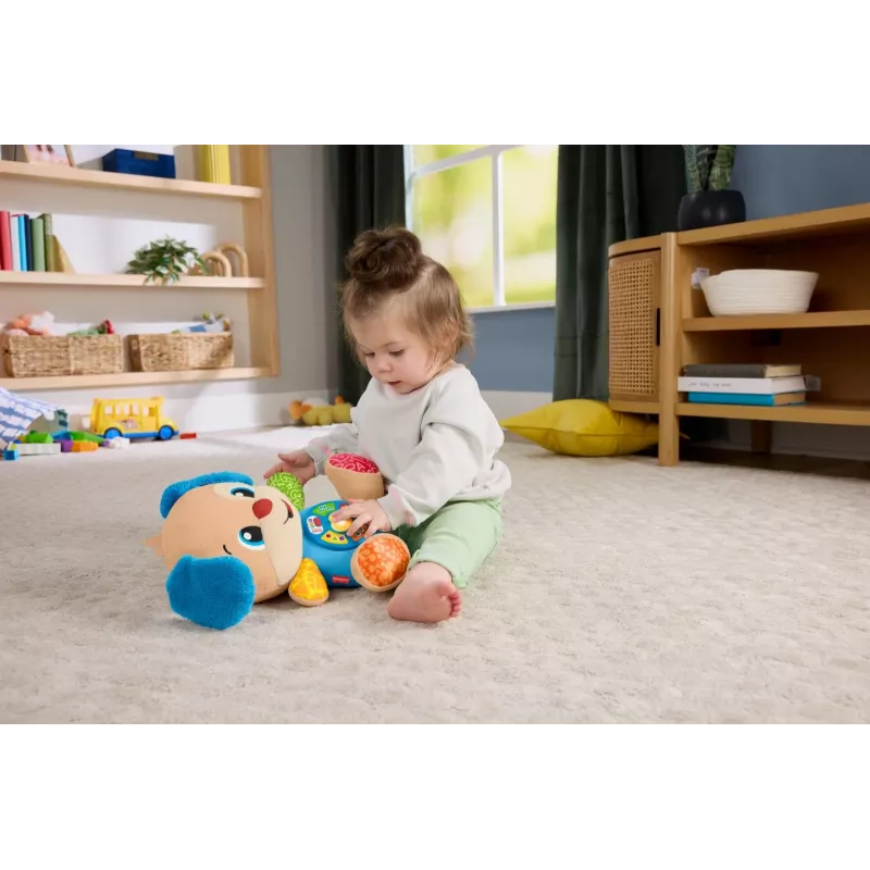 Interaktyvus mokomasis žaislas šuniukas MATTEL Fisher-Price Learn & Laugh JFD27