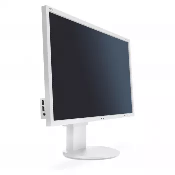 NEC G202591-003A4 profesionalus monitorius