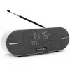 Technisat DigitRadio BT 2 šviesiai pilkas (0001/3973)
