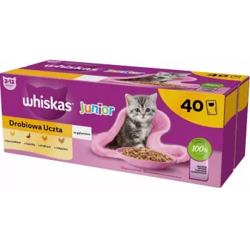 Šlapias kačių ėdalas Whiskas Junior Paukštiena želė 40 x 85 g – kačiukams