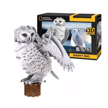 CubicFun 3D dėlionė NG Snow Owl 32 detalės Gyvūnai Nuo 8 metų