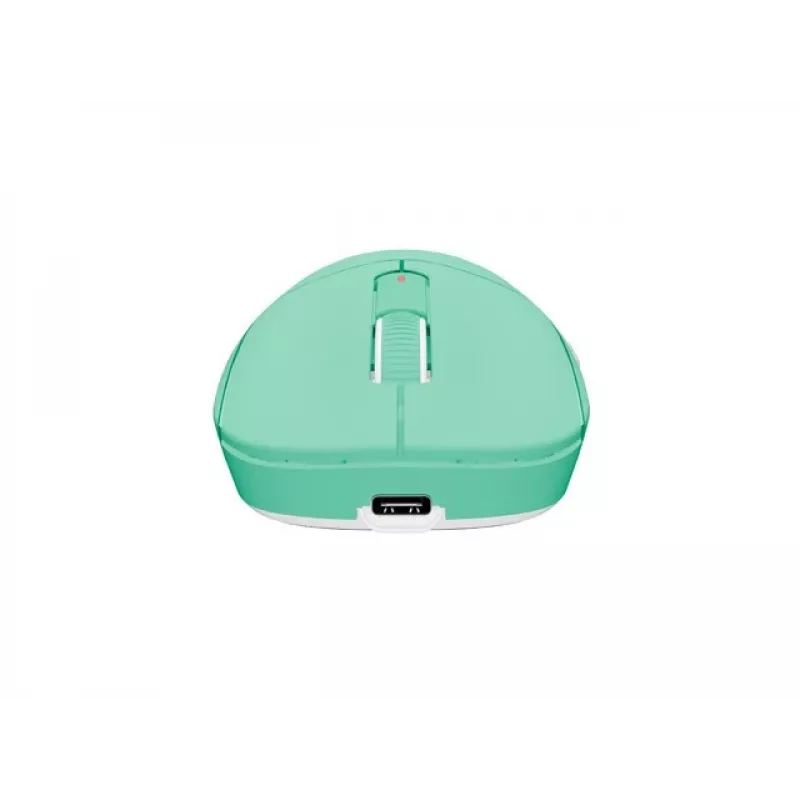 Belaidė pelė Fury Tanto T4 Mint Green – reguliuojamas DPI, USB imtuvas, ergonomiškas dizainas