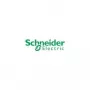 Schneider Electric XCKP2102P16, laidinis, plastikas, zamak, IP66, IP67, Bl