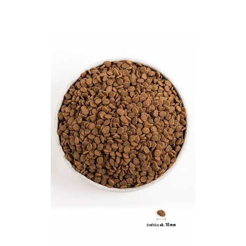 Orijen Kitten sausas ėdalas kačiukams, 1,8 kg