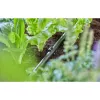 Žarnos laikiklis GARDENA 13208-20 juodas, montavimas į žemę