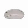 Canyon pelė MW-12 Dual band Wireless Beige - Pelė - 2400 dpi (CNS-CMSW12BG)