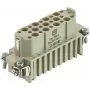 Harting 09210253101 jungtis