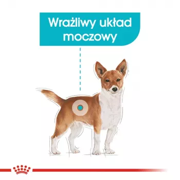 Sausas šunų ėdalas Royal Canin Mini Urinary Care 3 kg — smulkių veislių, paukštiena, 27% baltymų, 16% riebalų