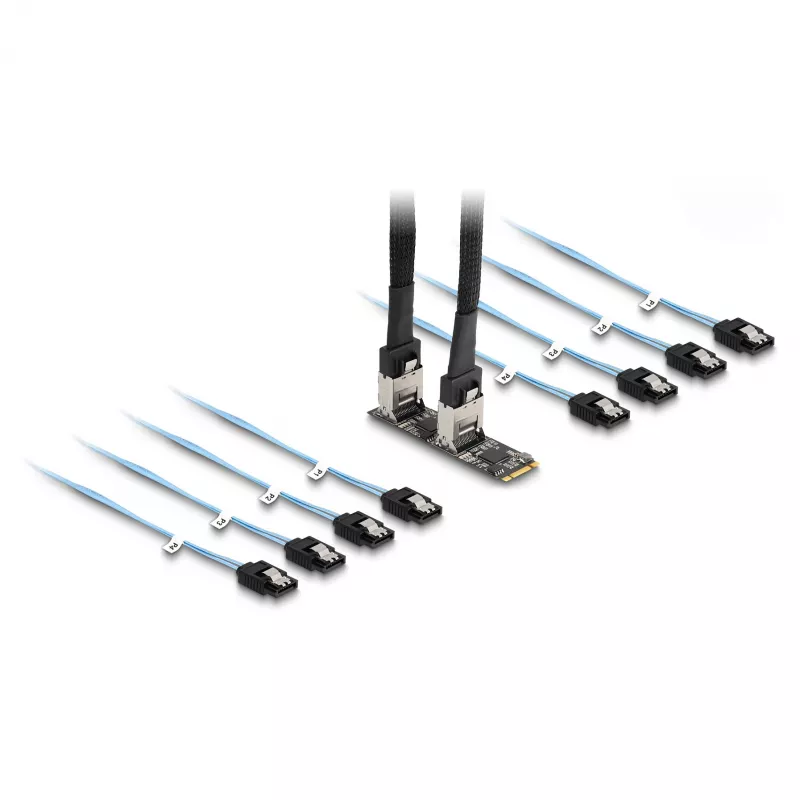 DeLOCK Converter M.2 2280 Key B+M (vyriškas) į 8 x SATA