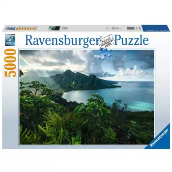 Kontūrinis dėlionė Ravensburger 16106 5000 dalių Flora