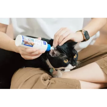 Ausų valymo tirpalas VIRBAC EPI-OTIC S-I-S šunims ir katėms 60 ml