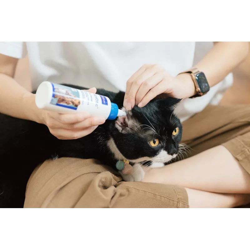 Ausų valymo tirpalas VIRBAC EPI-OTIC S-I-S šunims ir katėms 60 ml
