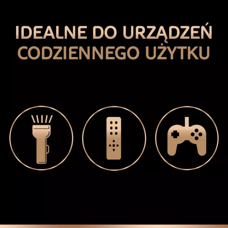 Baterija Duracell Basic D (R20) — pakuotė po 2 vnt., cinko-anglies elementai