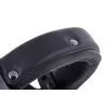 Ausinės Beyerdynamic DT 770 PRO 250 OHM Black Limited Edition