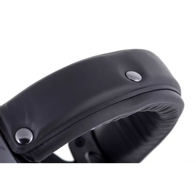 Ausinės Beyerdynamic DT 770 PRO 250 OHM Black Limited Edition