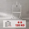 Grindinis stovas televizoriui MACLEAN MC-114 W, 55–100 colių, baltas, VESA iki 900x600, maks. apkrova 120 kg, aukštis 115–152 cm, lentyna