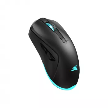 Belaidė pelė Baracuda BGM-121 Turtle Black USB