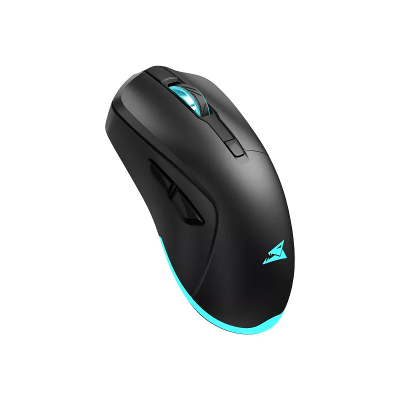 Belaidė pelė Baracuda BGM-121 Turtle Black USB
