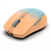 Cian Technology GmbH INCA pelė IWM-511RT Bluetooth + belaidė RGB pagrindinė spalva Oranžinė