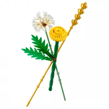 LEGO 30701 Botanicals Feldblumen Konstrukcinis Žaislas