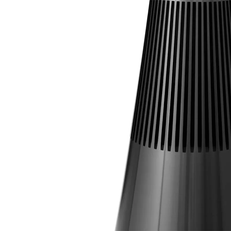 Bang & Olufsen Beosound 2 3rd Gen Black Anthracite belaidis garsiakalbis