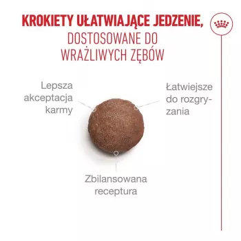 Sausas kačių ėdalas Royal Canin FHN Ageing Sterilised 11+ paukštiena 4 kg, 30% baltymų, 12,5% riebalų