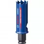 Pjūklas skylėms Bosch 2 608 900 421 2,5 cm 1 vnt.