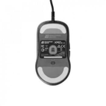 Žaidimų pelė Endgame Gear XM2 8k v2
