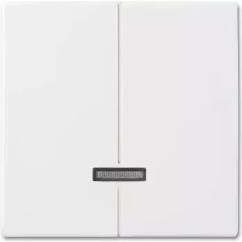 Busch-jaeger 6545-914 Tinklo įrenginys