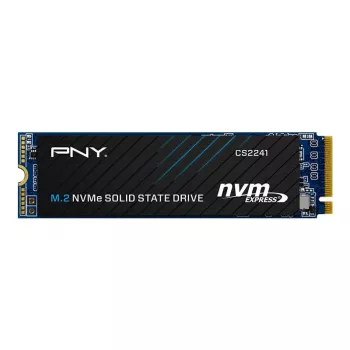 SSD diskas 500GB M.2 2280 PNY CS2241 M280CS2241-500-RB