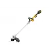 DeWALT DCMST561P1-QW elektrinis žoliapjovė