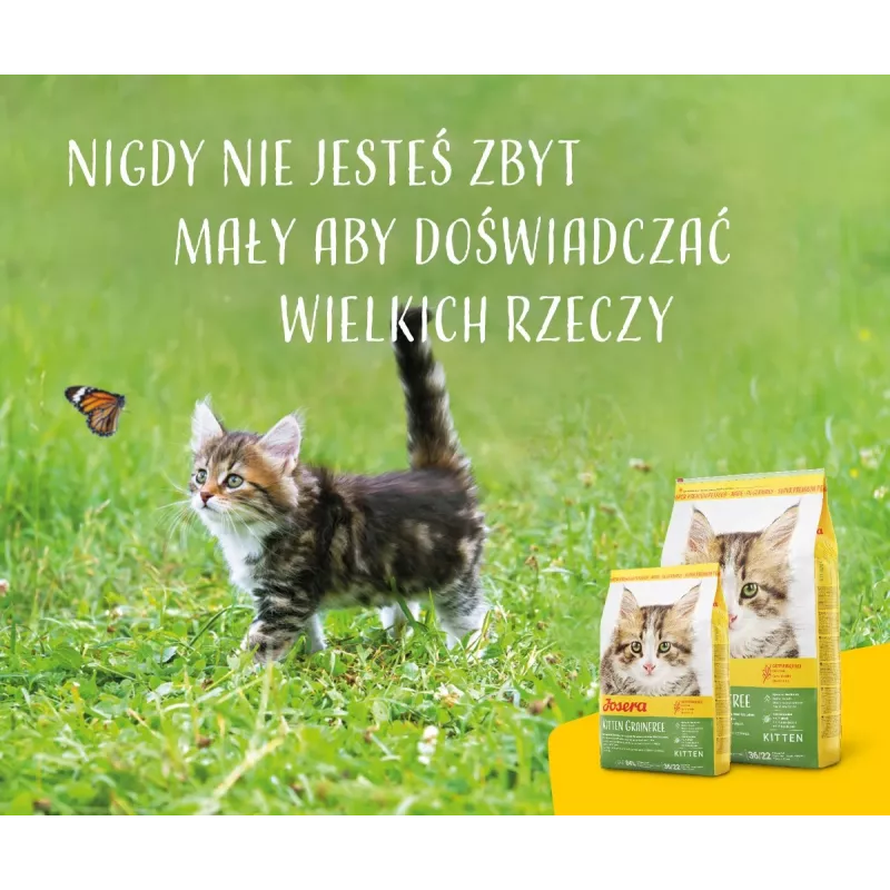 Sausas kačių ėdalas Josera Kitten Poultry 2 kg