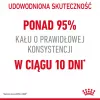 ROYAL CANIN Digestive Care Adult - sausi kačių ėdalai - 400g