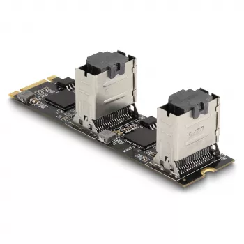 DeLOCK Converter M.2 2280 Key B+M (vyriškas) į 8 x SATA