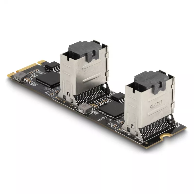 DeLOCK Converter M.2 2280 Key B+M (vyriškas) į 8 x SATA
