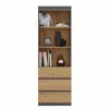 Biuro spintelė knygoms top e shop RS-60 ANT/ART KPL — 3 lentynos, medžio drožlių plokštė, 600×350×1800 mm