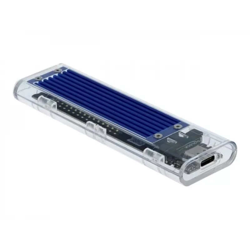 SSD korpusas DeLOCK 42620 išorinis korpusas M.2 NVMe PCIe SSD su USB Type-C moterišku permatomu