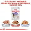ROYAL CANIN FHN Sterilised padaže - šlapias ėdalas suaugusioms katėms - 12x85g