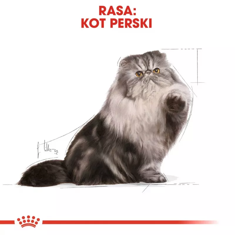 Royal Canin Persian Adult sausas ėdesys katėms, 4 kg, kukurūzai, paukštiena