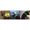 LED antkaklis Anicoll Green šunims ir katėms modelis įkraunamas apšvietimas