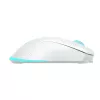 Belaidė pelė Baracuda BGM-122 Turtle White TURTLE-W