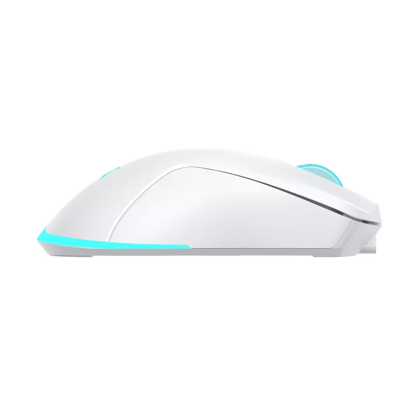 Belaidė pelė Baracuda BGM-122 Turtle White TURTLE-W
