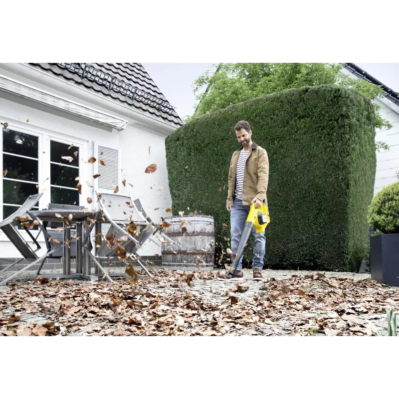Belaidis lapų pūtimo aparatas Lbl 2/BATT. Rinkinys 1.445-110.0 Karcher
